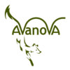 AVANOVA - HORST HERZOG