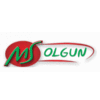 MS OLGUN GIDA LIMITED COMPANY