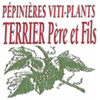 TERRIER PÉPINIÈRES